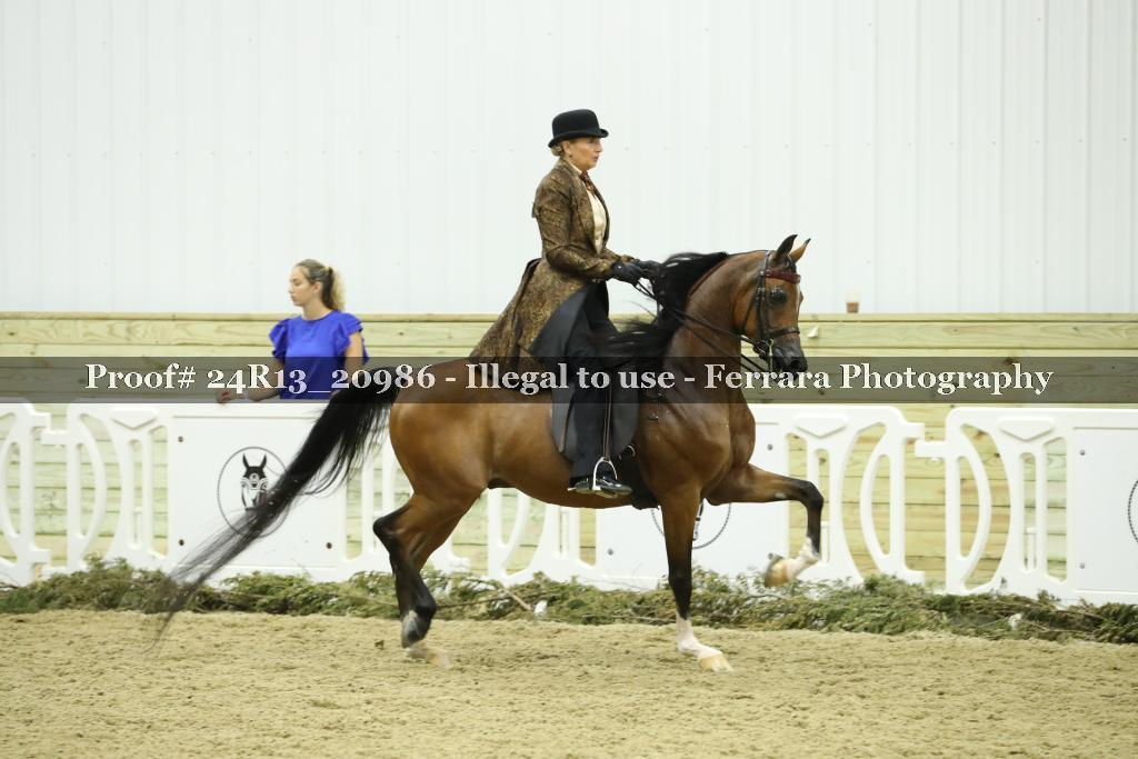 Proof Number 24R13_20986