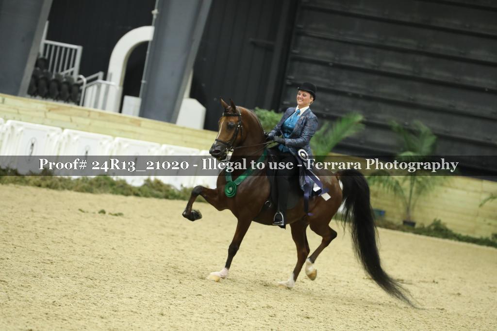 Proof Number 24R13_21020