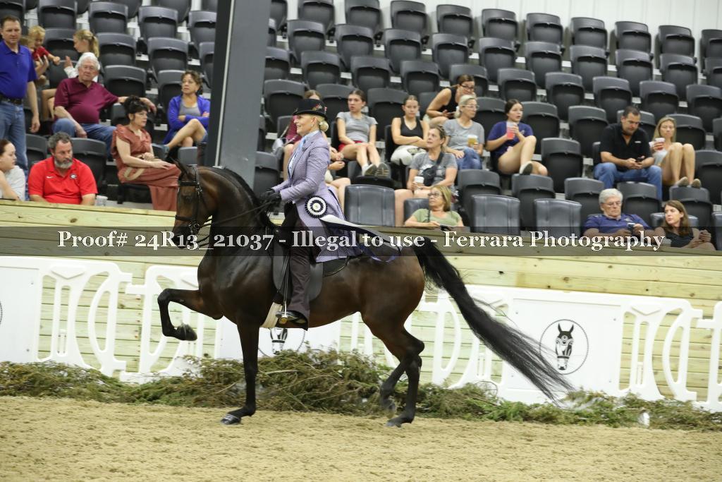 Proof Number 24R13_21037