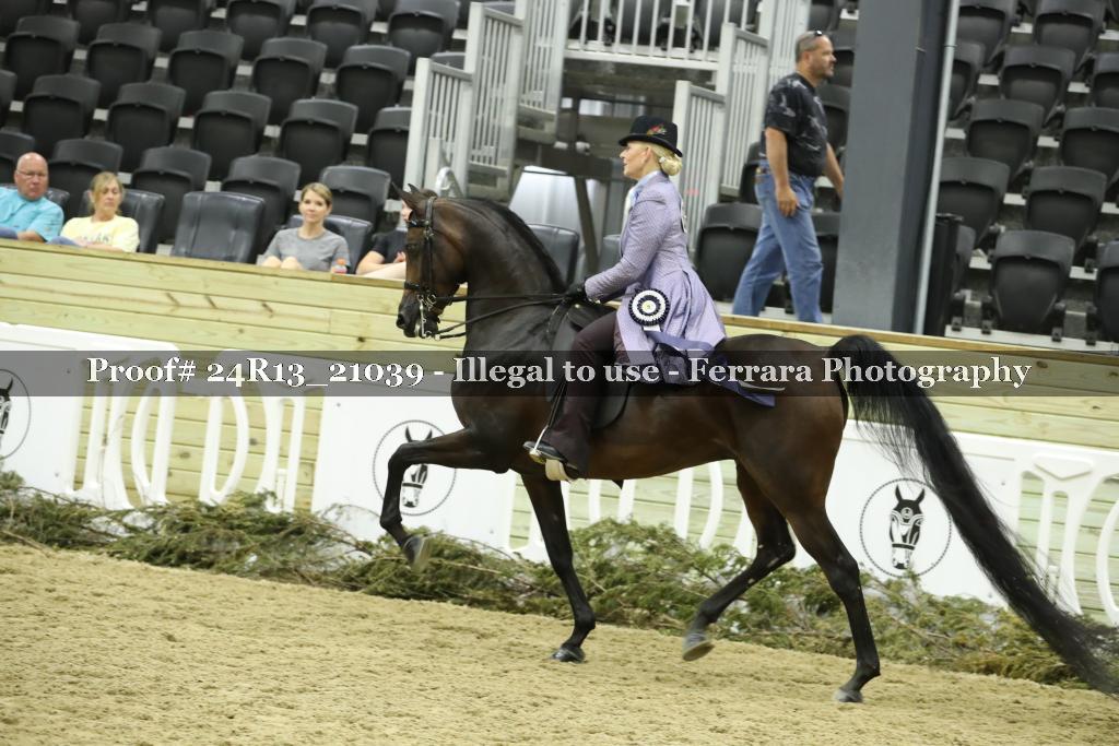 Proof Number 24R13_21039