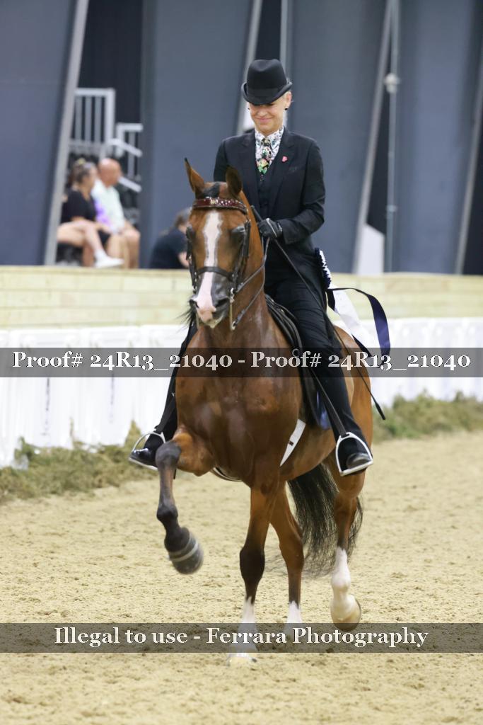 Proof Number 24R13_21040