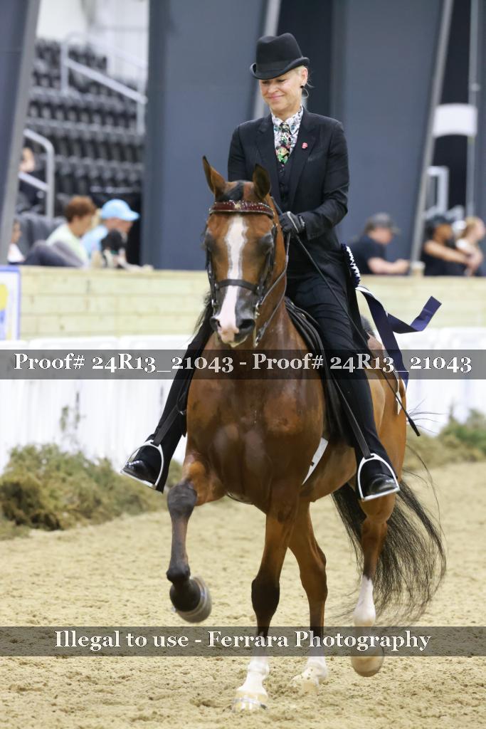 Proof Number 24R13_21043