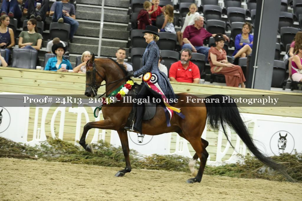 Proof Number 24R13_21048