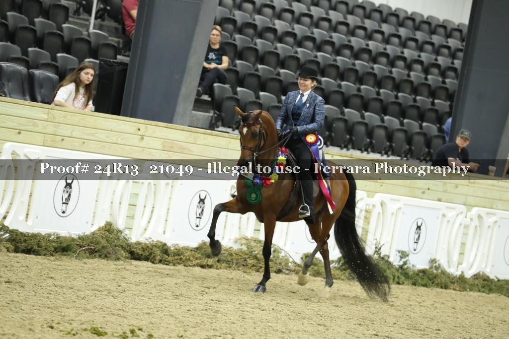 Proof Number 24R13_21049