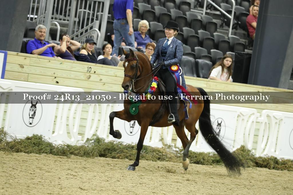 Proof Number 24R13_21050
