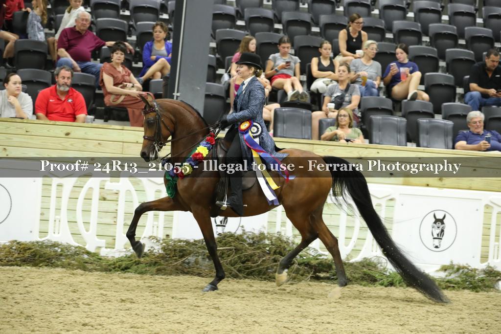 Proof Number 24R13_21055
