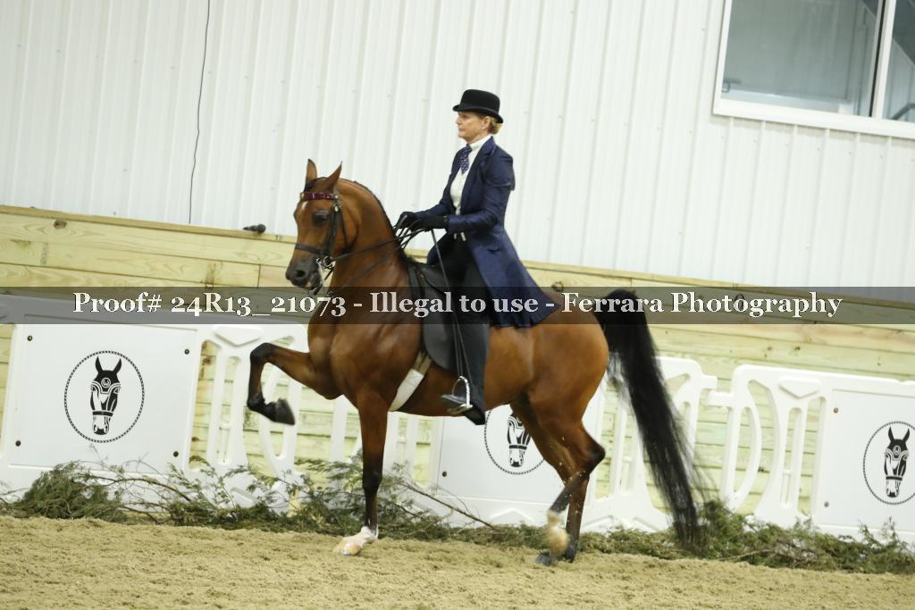 Proof Number 24R13_21073