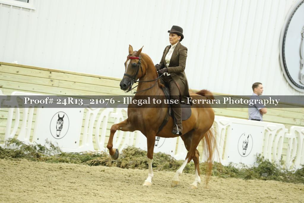 Proof Number 24R13_21076