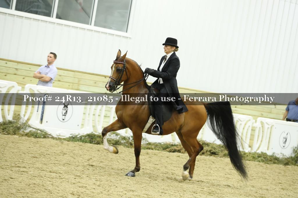 Proof Number 24R13_21085