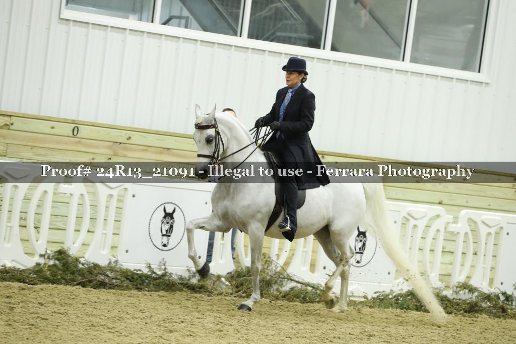 Proof Number 24R13_21091