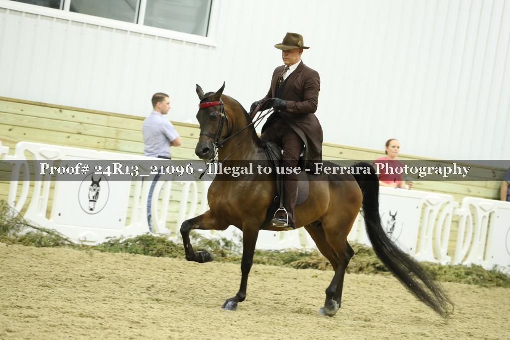 Proof Number 24R13_21096