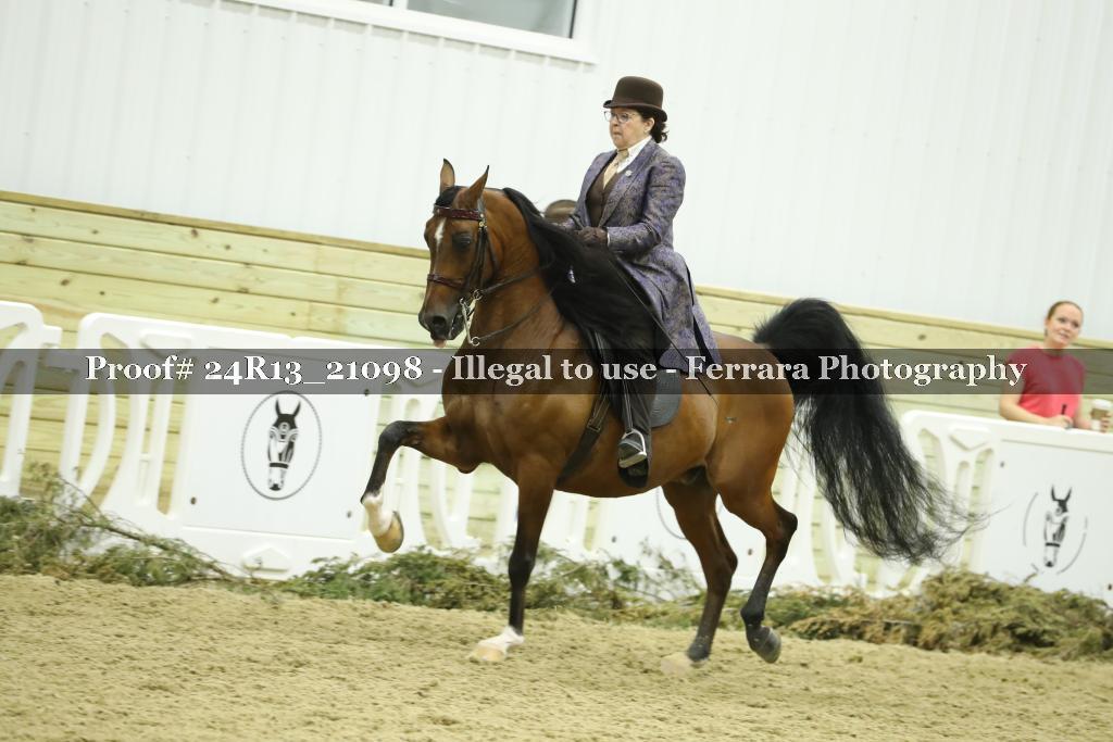 Proof Number 24R13_21098