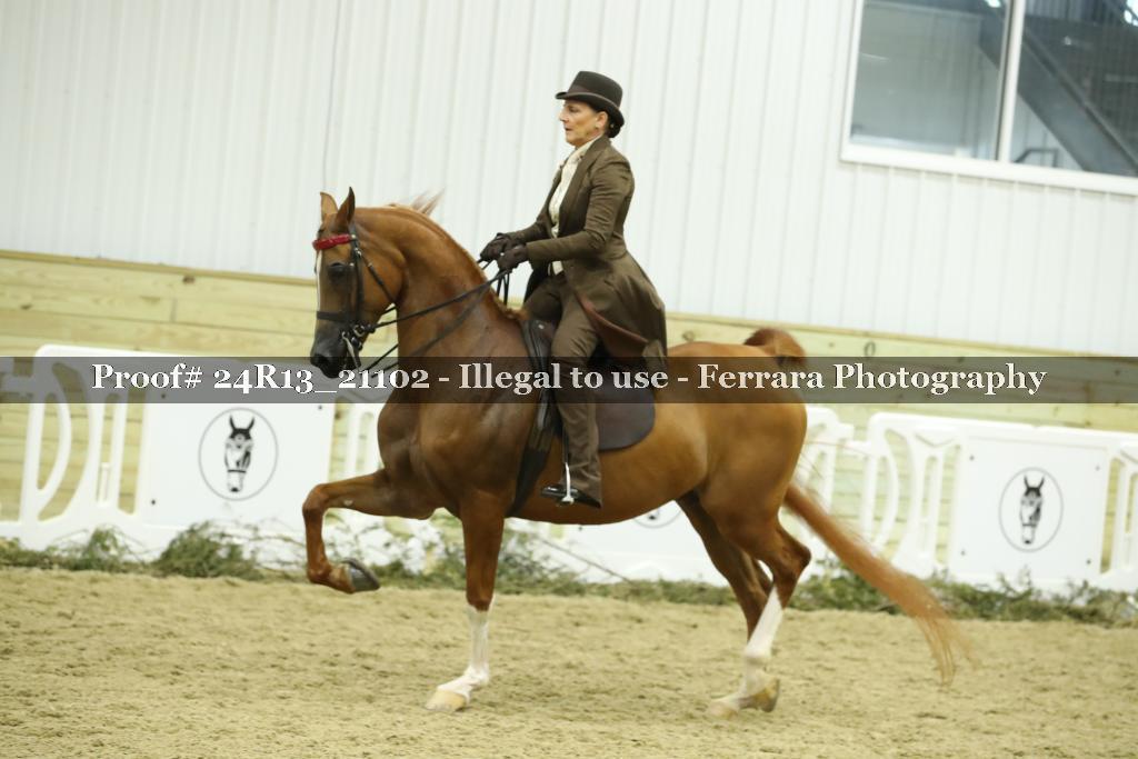 Proof Number 24R13_21102