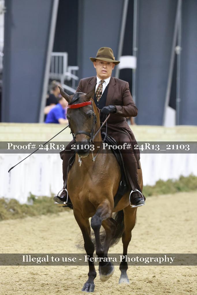Proof Number 24R13_21103