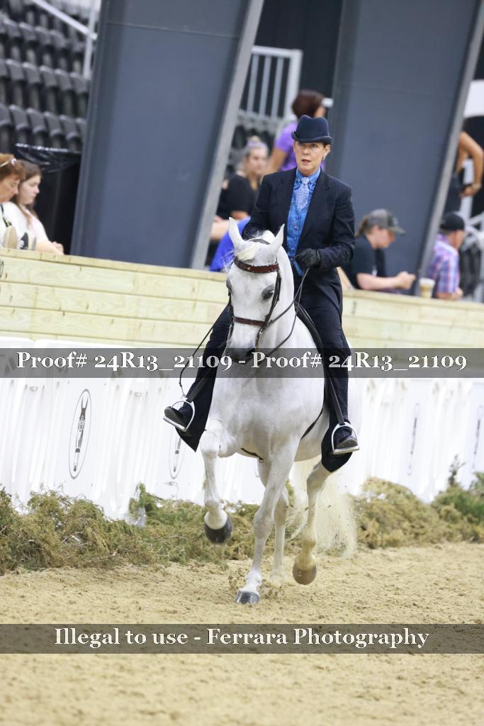 Proof Number 24R13_21109