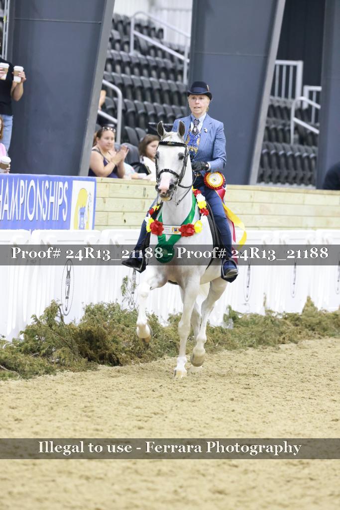 Proof Number 24R13_21188