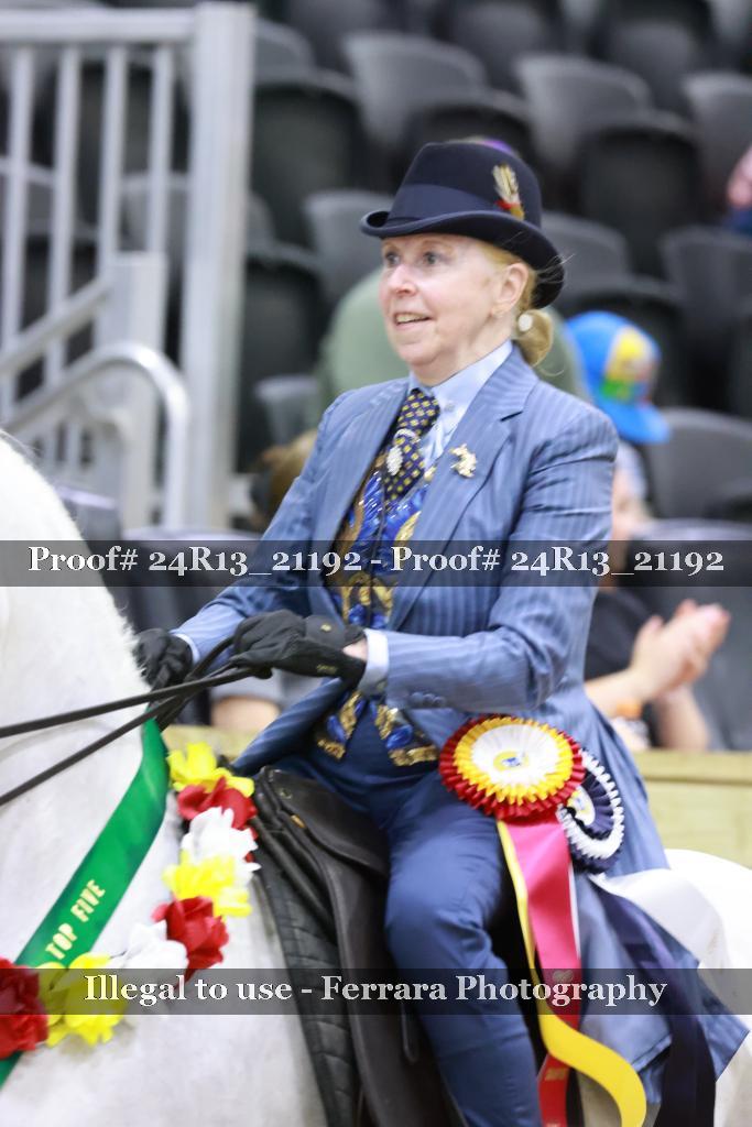 Proof Number 24R13_21192
