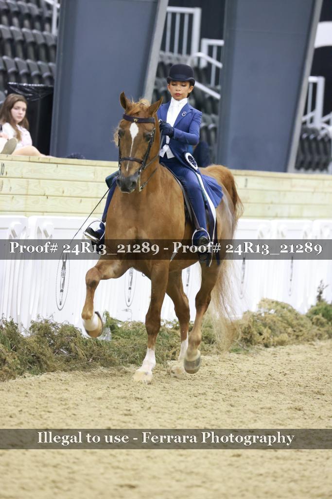 Proof Number 24R13_21289
