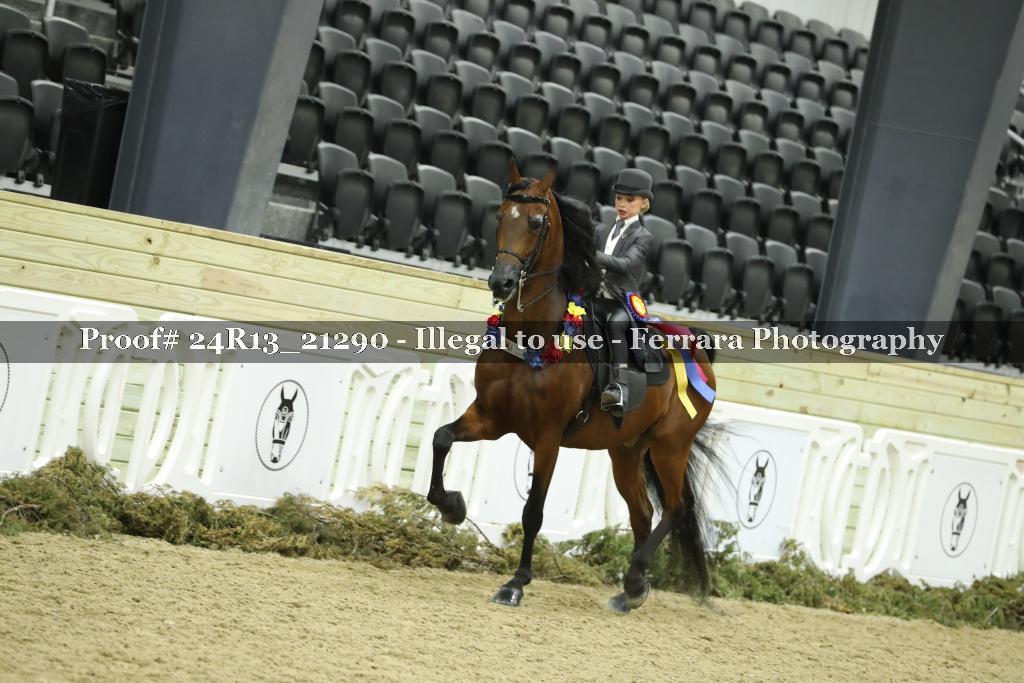 Proof Number 24R13_21290