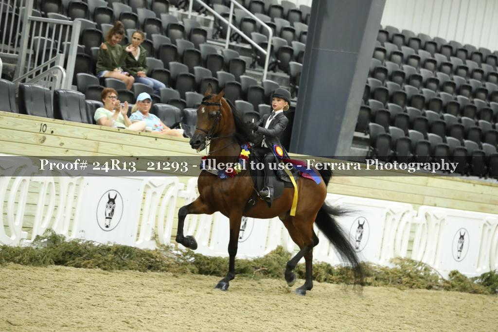 Proof Number 24R13_21293