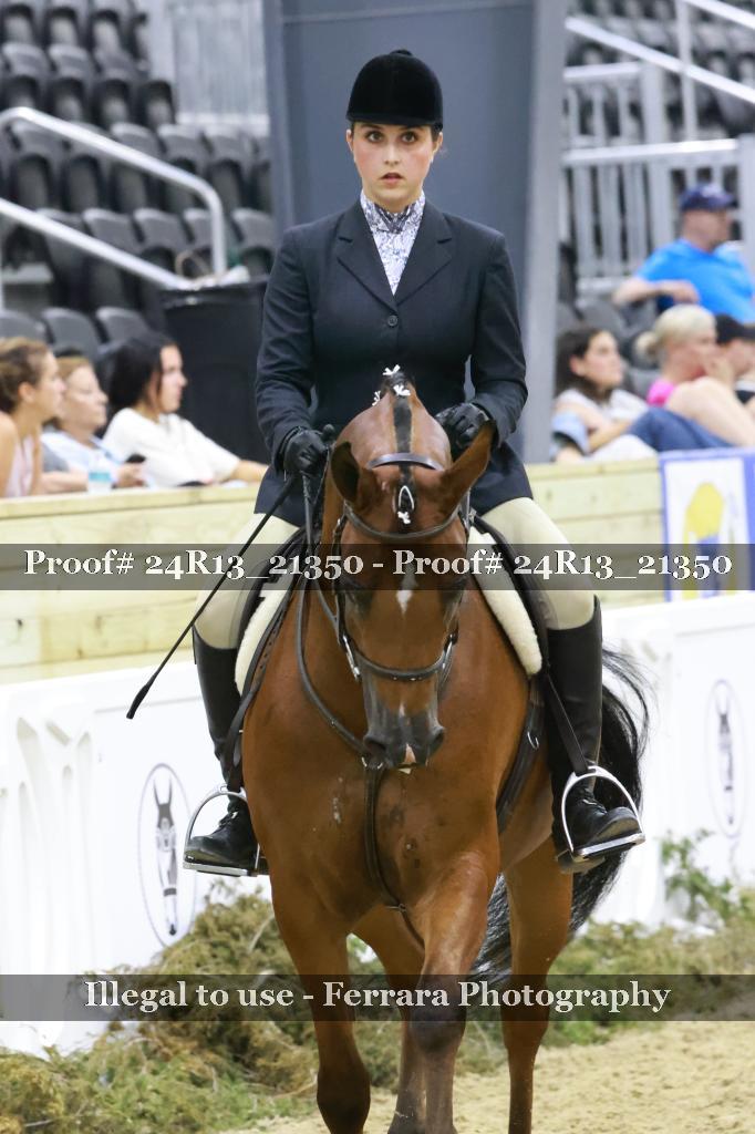 Proof Number 24R13_21350