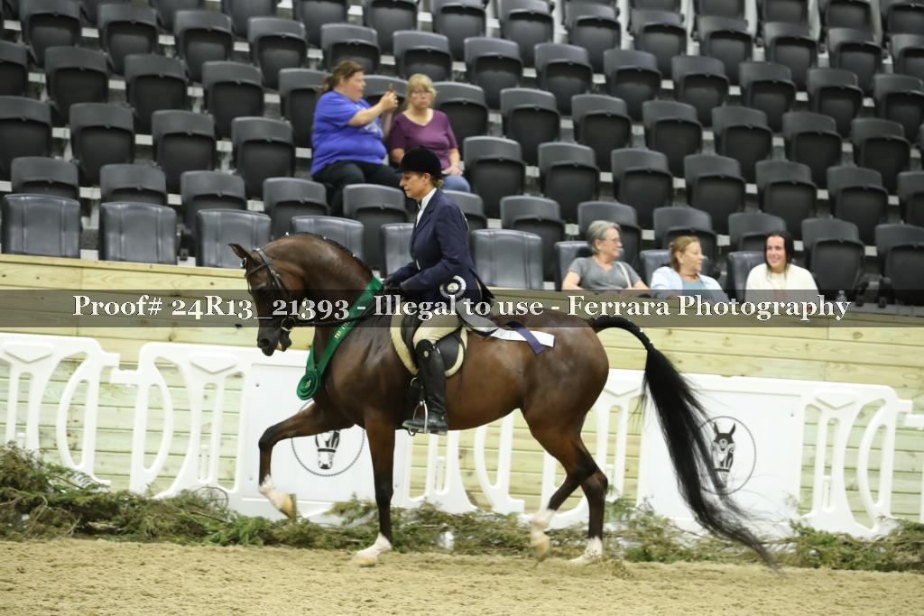 Proof Number 24R13_21393