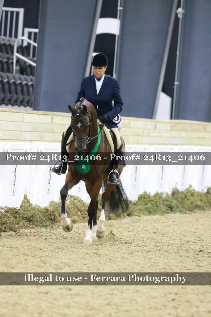Proof Number 24R13_21406