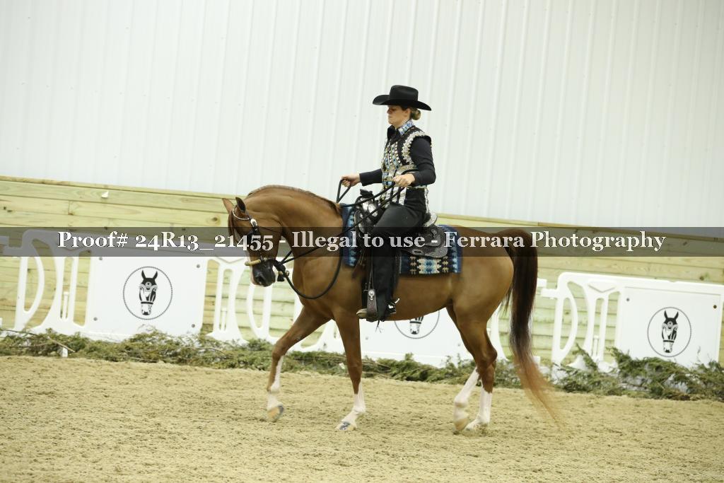 Proof Number 24R13_21455