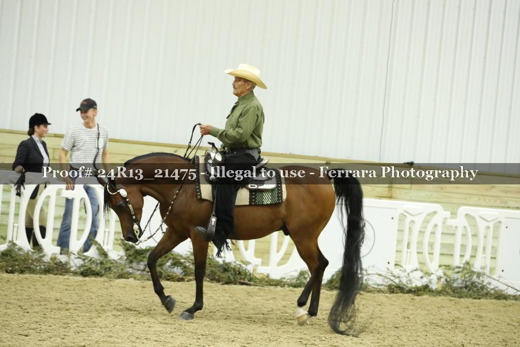 Proof Number 24R13_21475