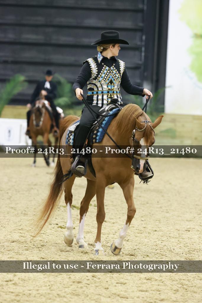 Proof Number 24R13_21480