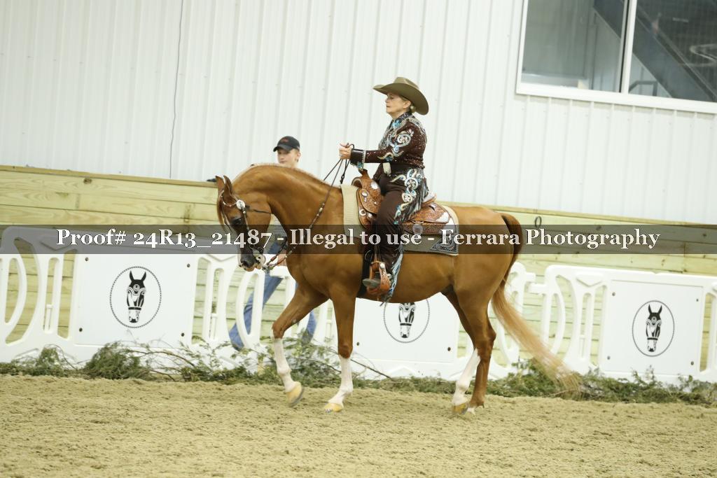 Proof Number 24R13_21487