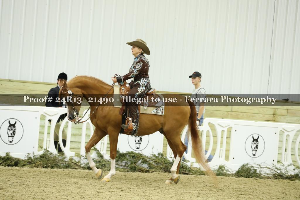 Proof Number 24R13_21490