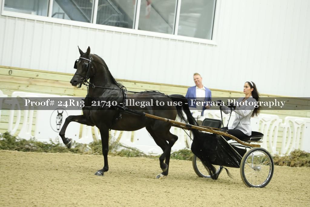 Proof Number 24R13_21740