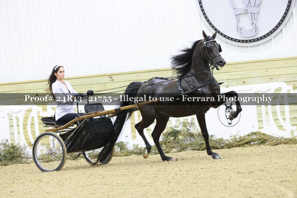 Proof Number 24R13_21755