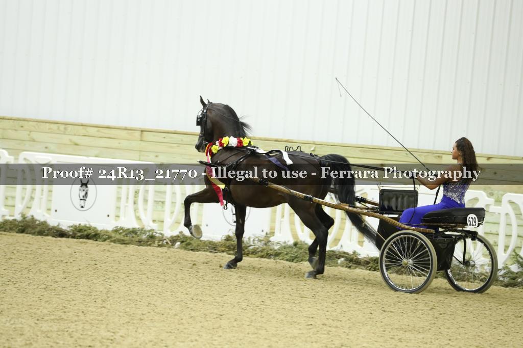 Proof Number 24R13_21770