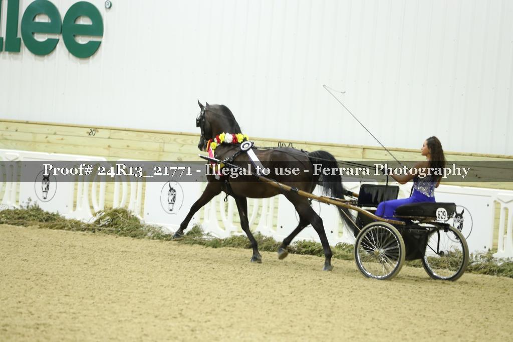 Proof Number 24R13_21771