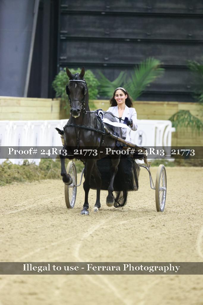Proof Number 24R13_21773
