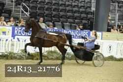 24R13_21776 thumbnail