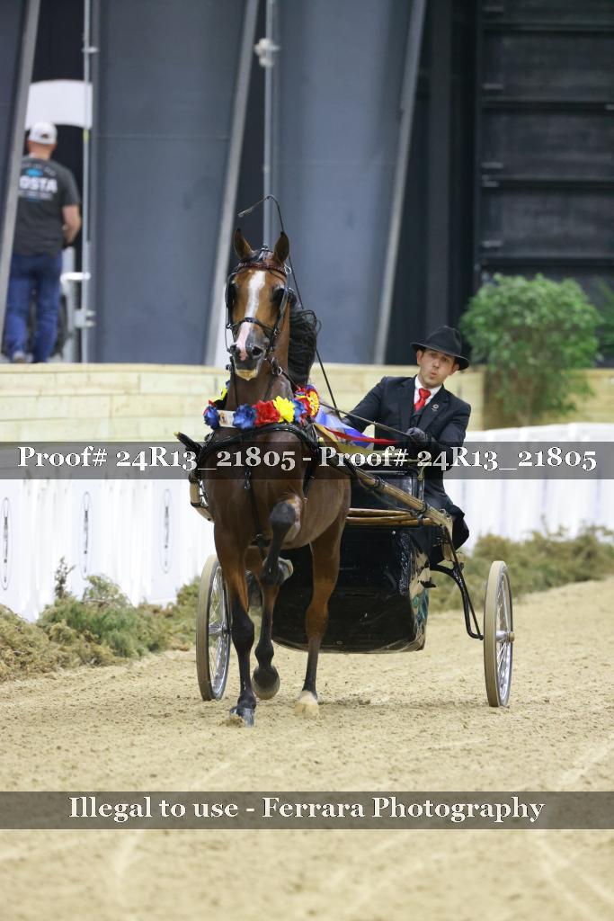 Proof Number 24R13_21805