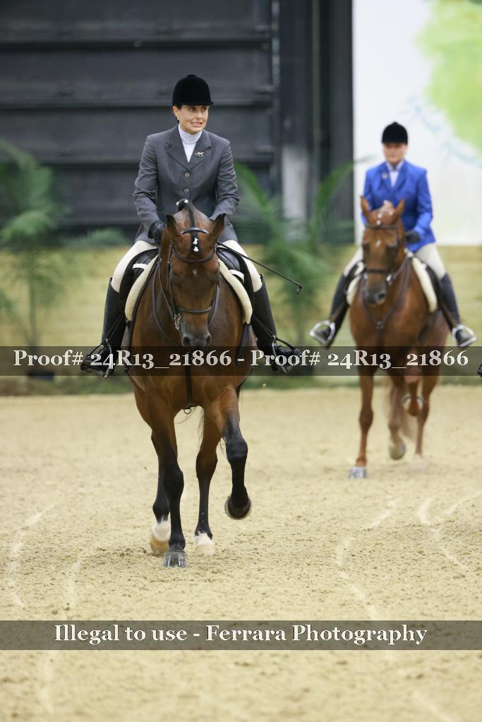 Proof Number 24R13_21866