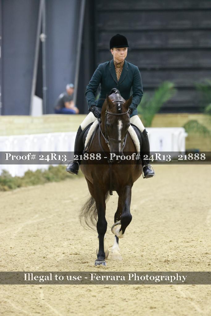 Proof Number 24R13_21888