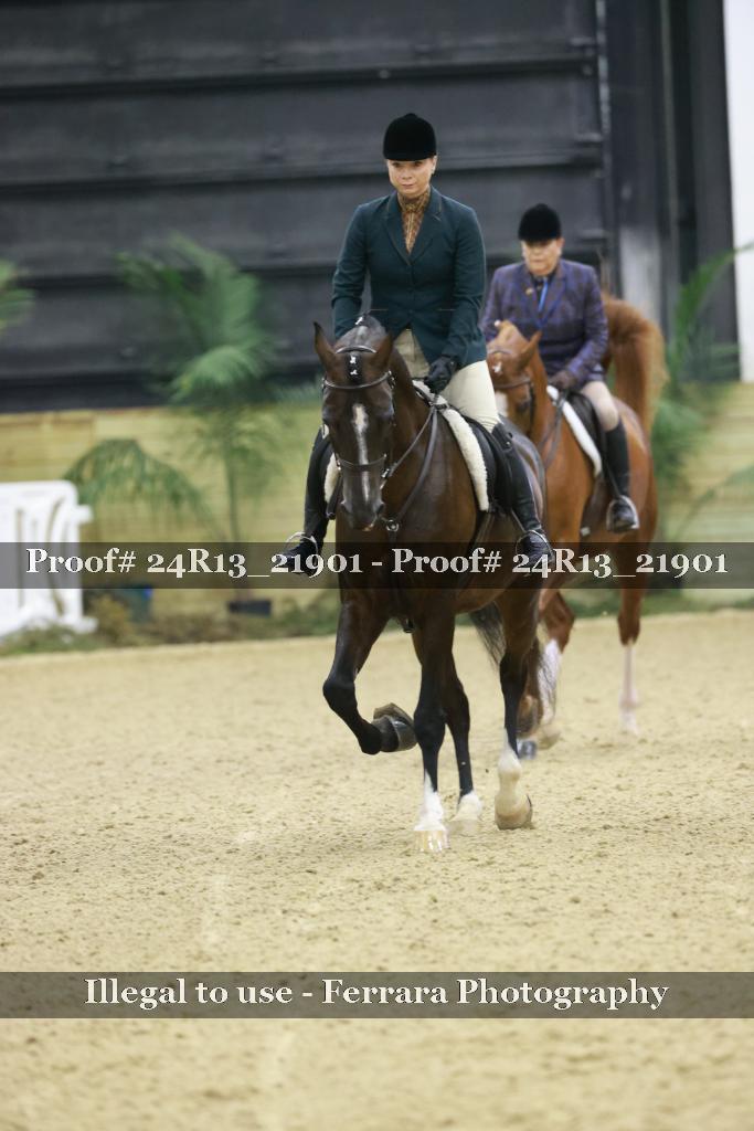 Proof Number 24R13_21901