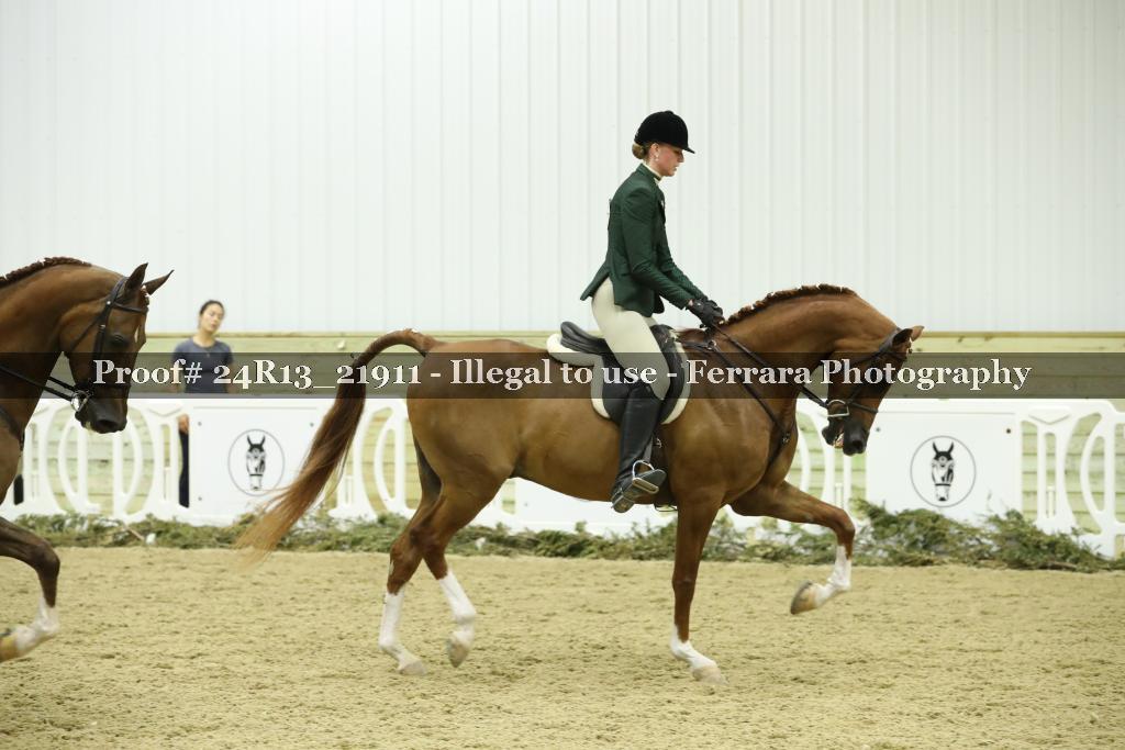 Proof Number 24R13_21911