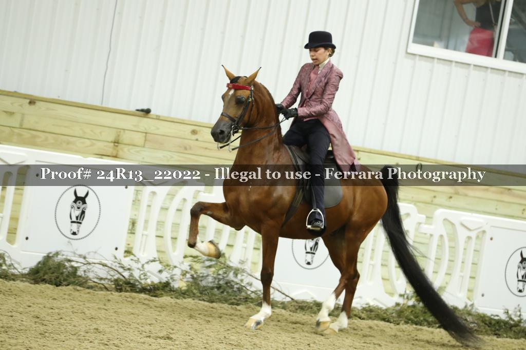 Proof Number 24R13_22022