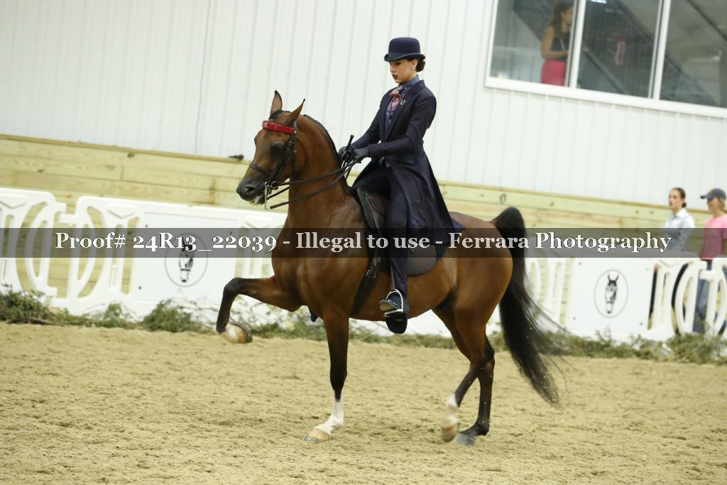 Proof Number 24R13_22039