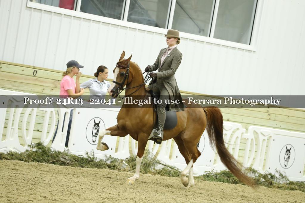 Proof Number 24R13_22041