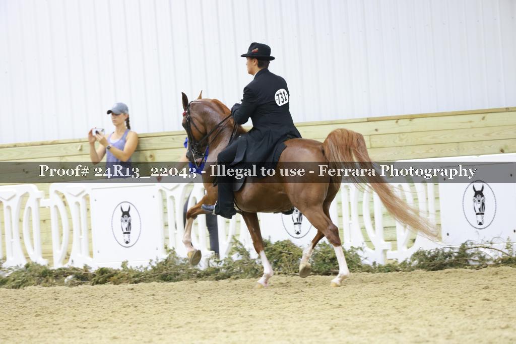 Proof Number 24R13_22043