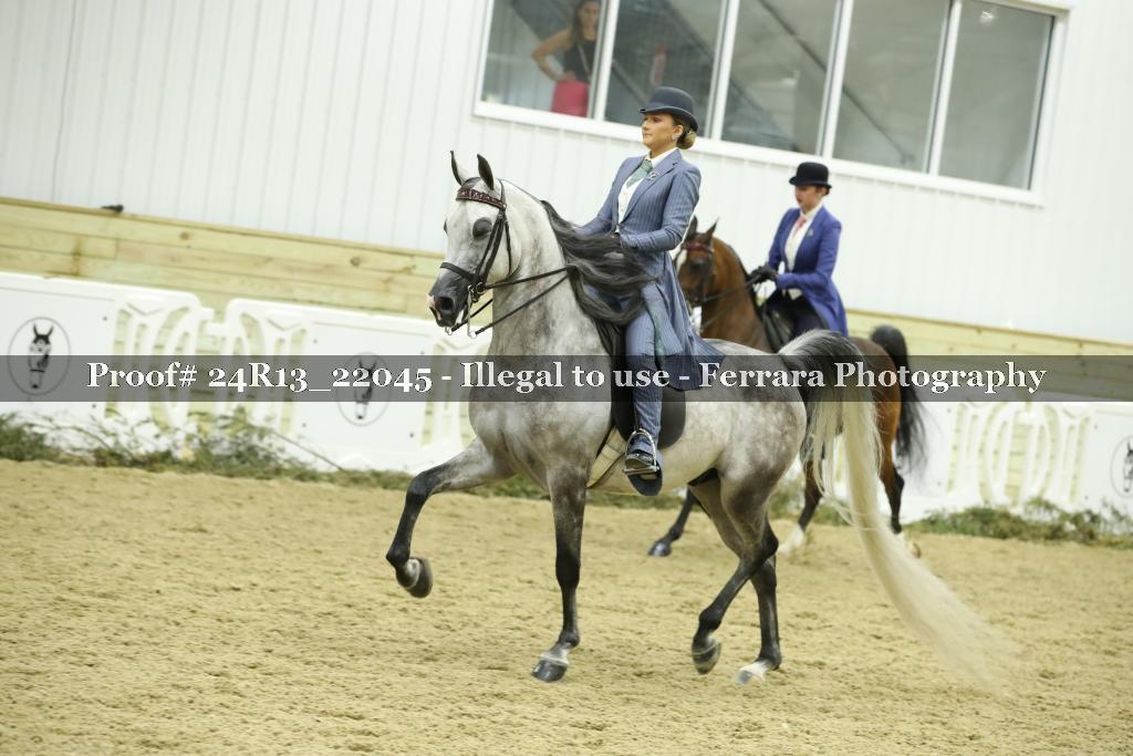 Proof Number 24R13_22045