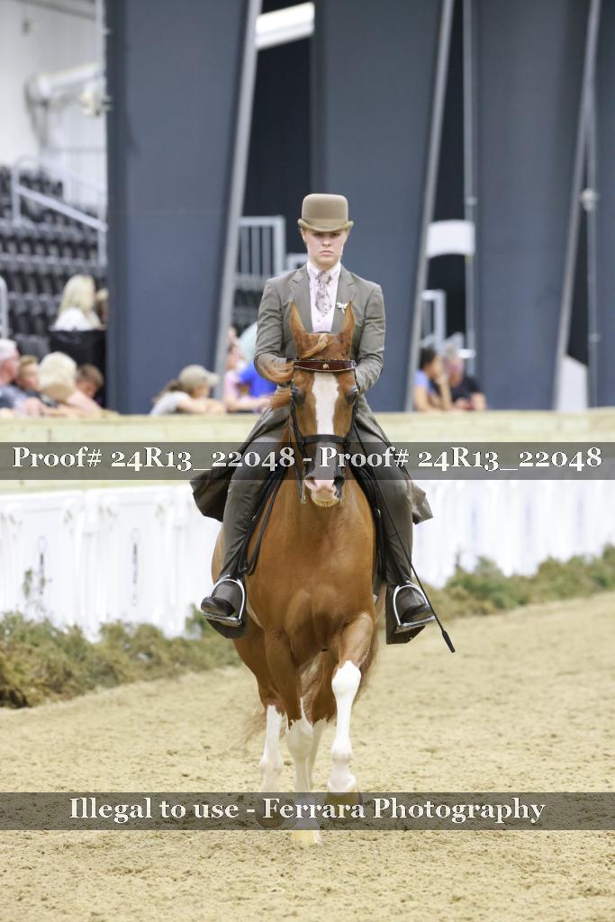 Proof Number 24R13_22048