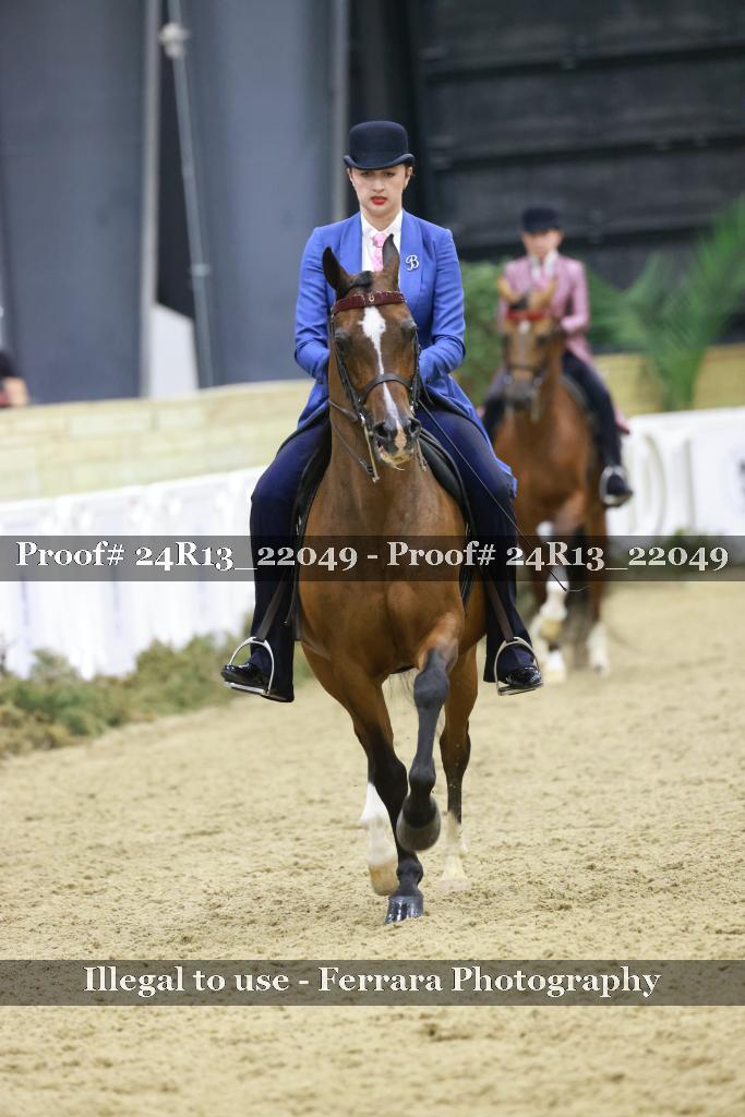Proof Number 24R13_22049